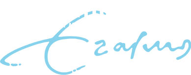 Erasmus samenwerking met Raion design